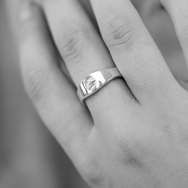 Soarin' Ring